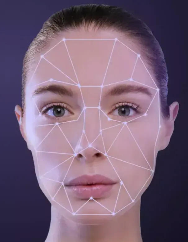 Physiological signal estimation
